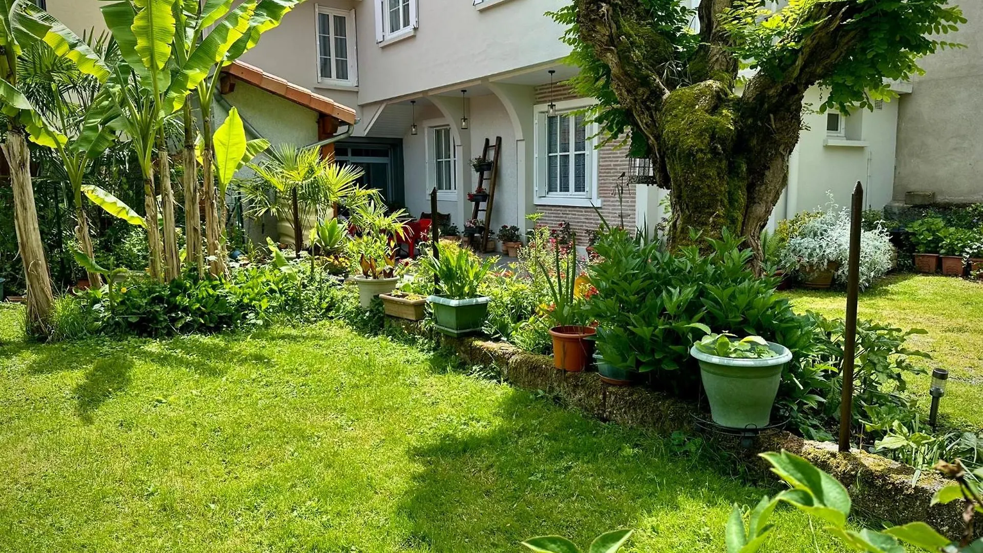 La Terrasse Fleurie Apartment Salies-du-Salat